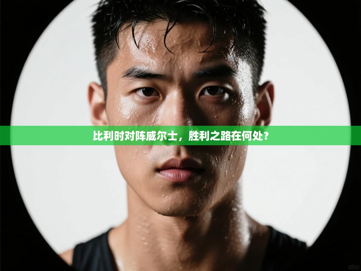 比利时对阵威尔士，胜利之路在何处？  第2张